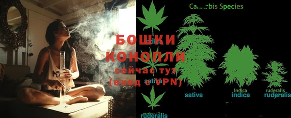 меф Снежинск