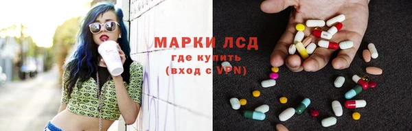 молекула духа Снежногорск