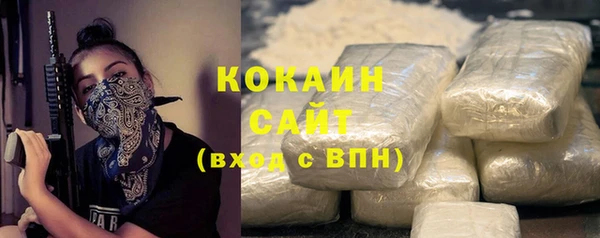 меф Снежинск