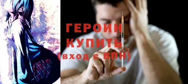 молекула духа Снежногорск