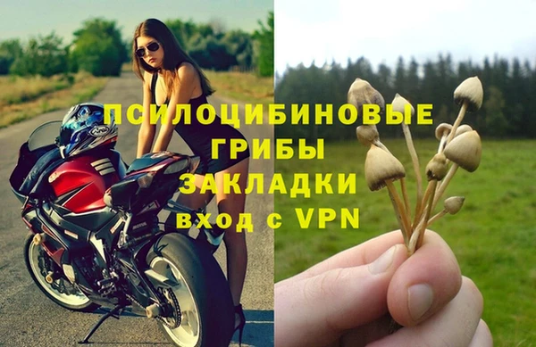 молекула духа Снежногорск