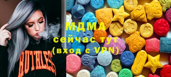 молекула духа Снежногорск