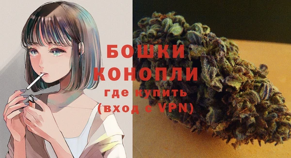 молекула духа Снежногорск