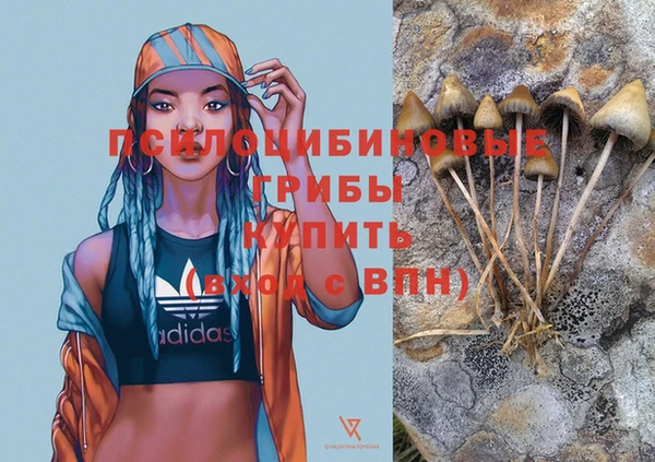 меф Снежинск