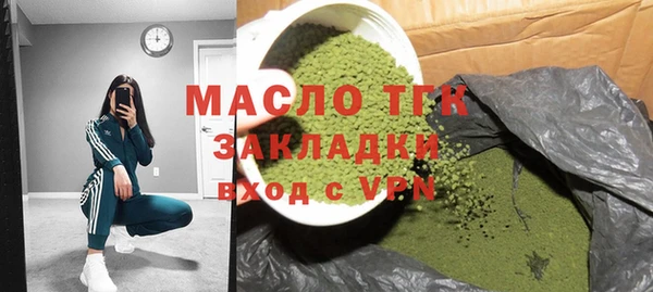 молекула духа Снежногорск
