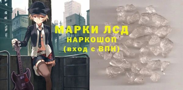молекула духа Снежногорск