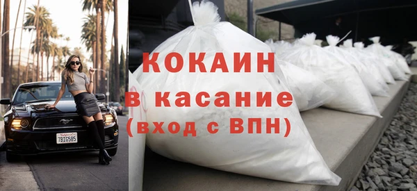 молекула духа Снежногорск