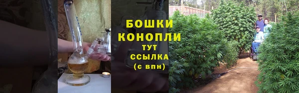 молекула духа Снежногорск